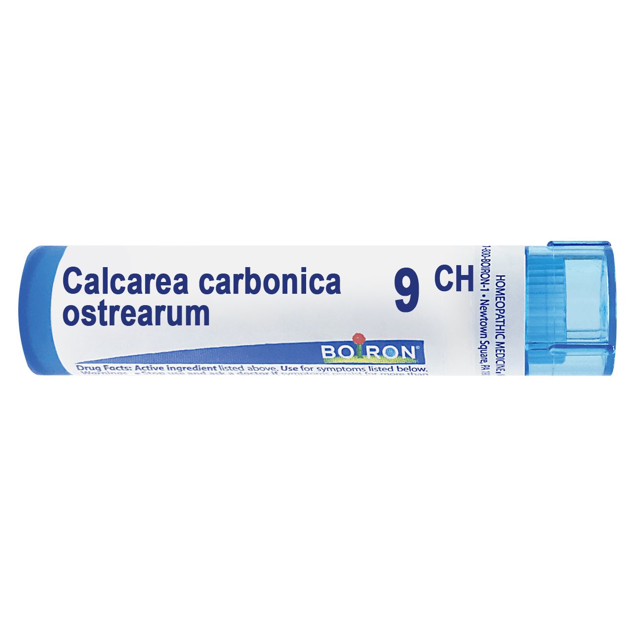 Calcarea carbonica ostrearum